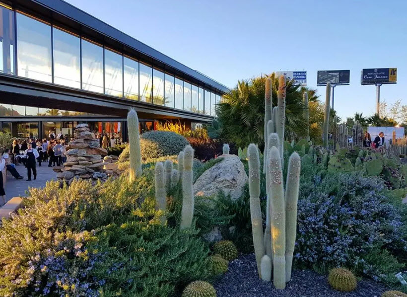 Área de los Cactus y las Crasas, Spain